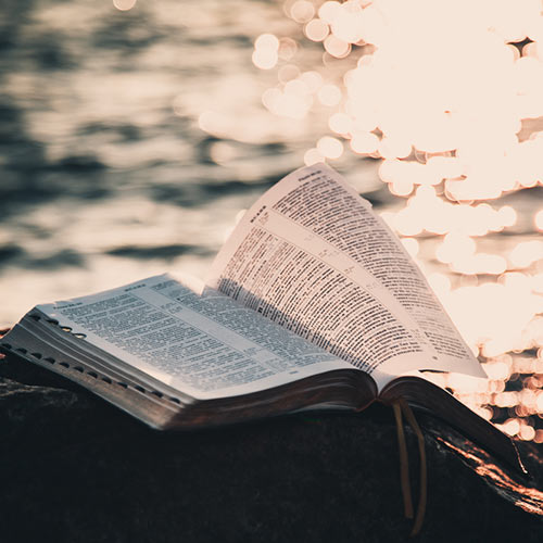 The Bible illuminated at sunset